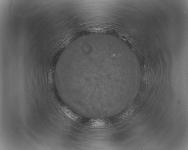 X0000054370658200508191848