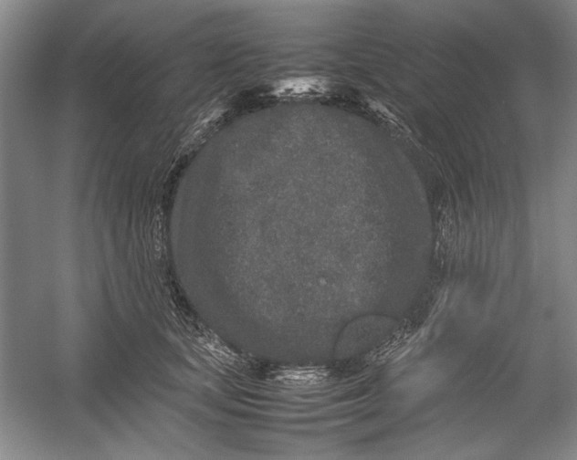 X0000054370659200508191848