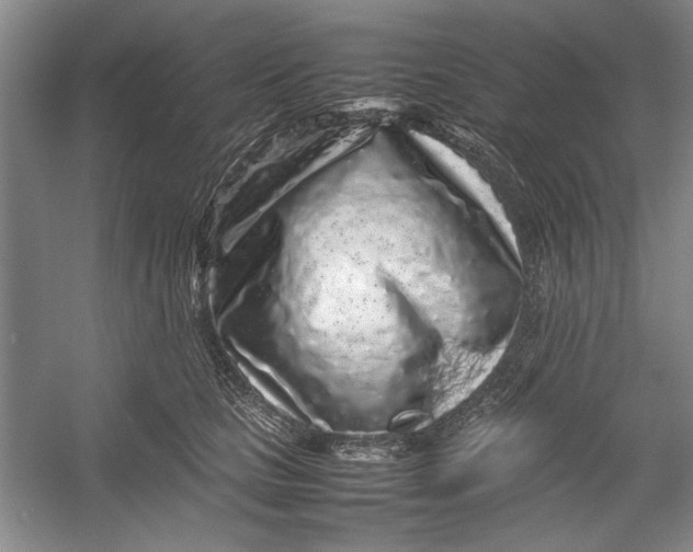 X0000054370661200508191848