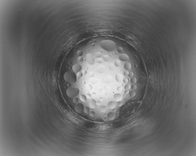 X0000054370662200508191848