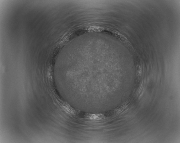 X0000054370663200508191848