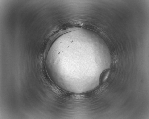 X0000054370664200508191848