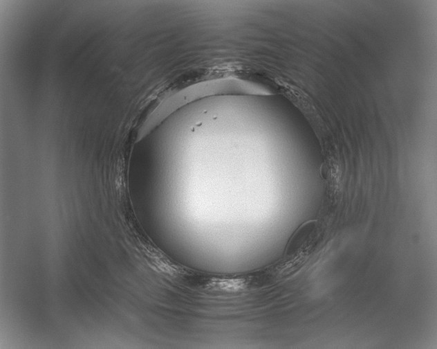 X0000054370665200508191848