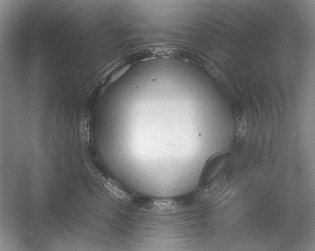 X0000054370666200508191848