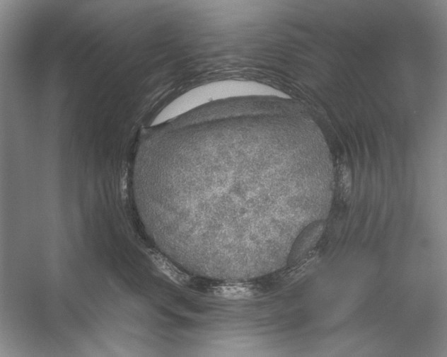 X0000054370668200508191848