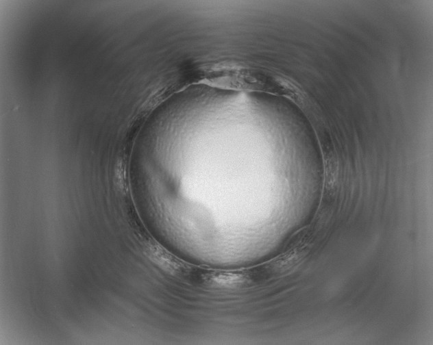 X0000054370669200508191848