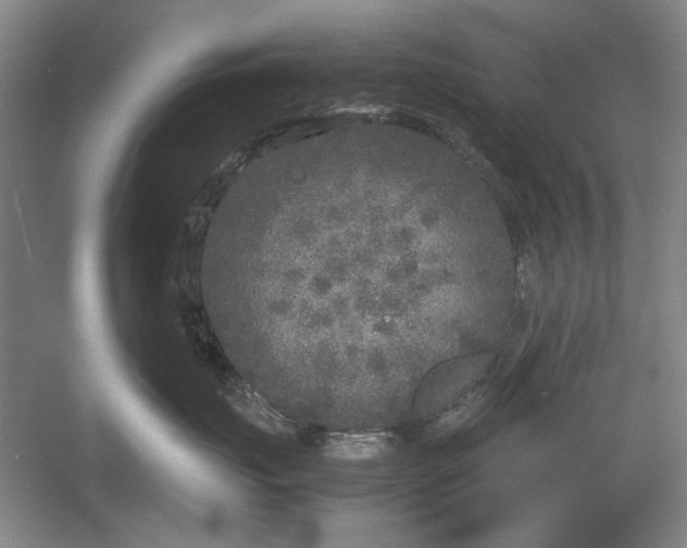 X0000054370671200508191848