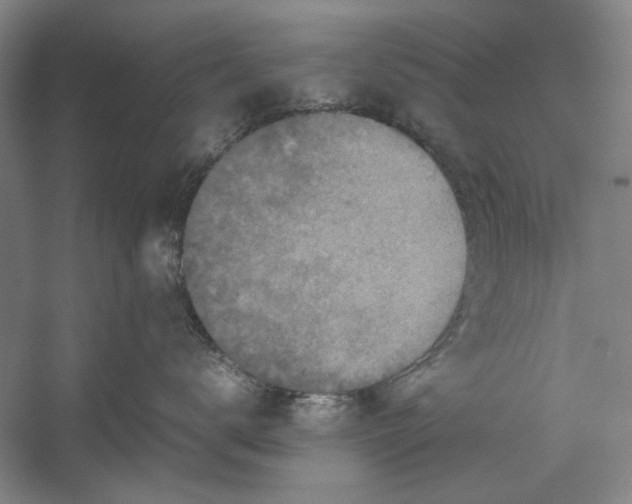 X0000054370672200508191848