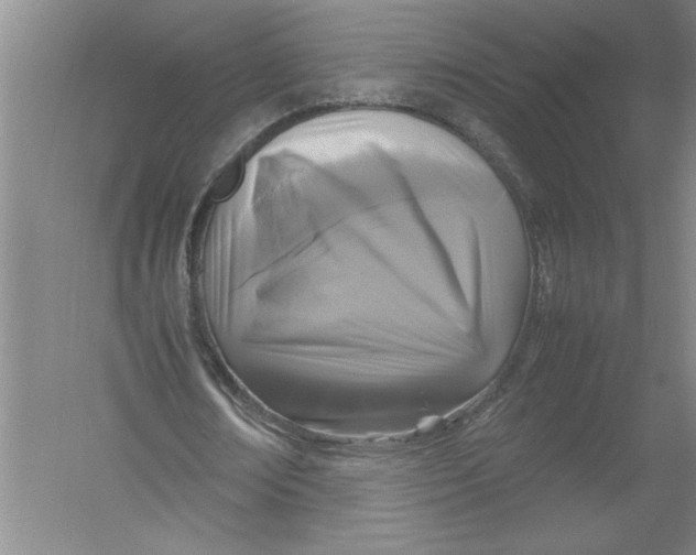 X0000054370674200508191847