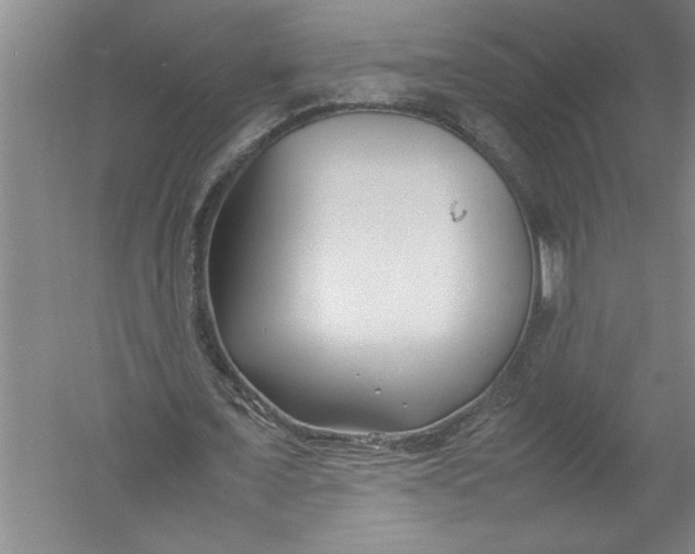 X0000054370675200508191847