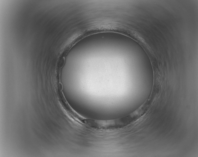 X0000054370677200508191847