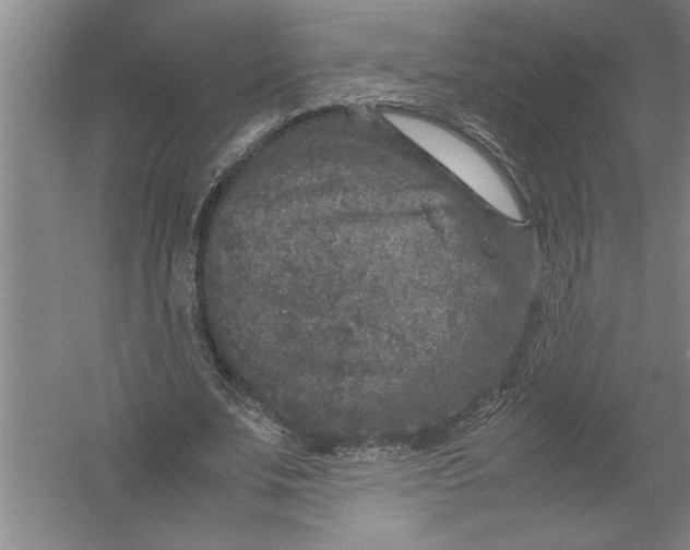 X0000054370679200508191847