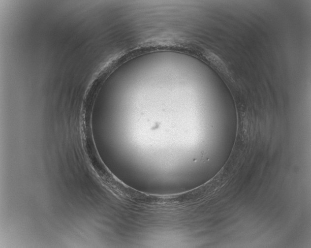 X0000054370680200508191847