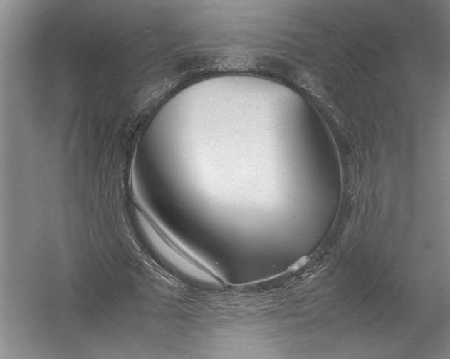 X0000054370681200508191847