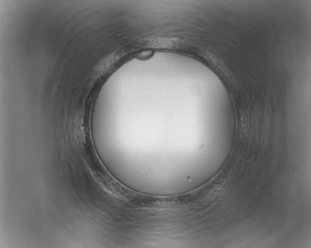 X0000054370682200508191847