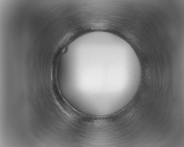 X0000054370686200508191847