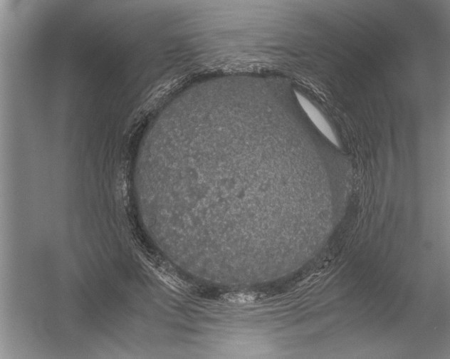 X0000054370687200508191847