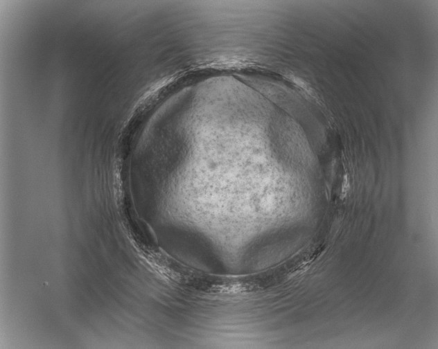 X0000054370688200508191847