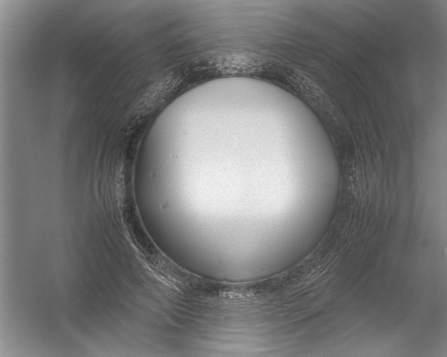 X0000054370690200508191847