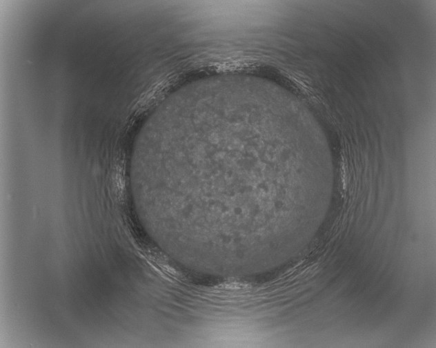 X0000054370691200508191847