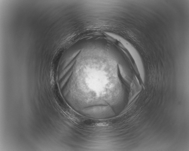 X0000054370692200508191847