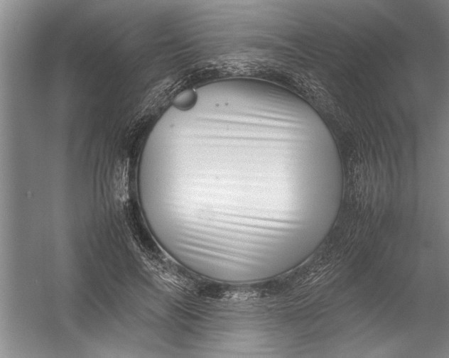 X0000054370694200508191847