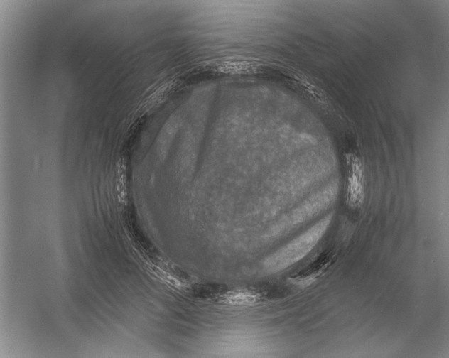 X0000054370696200508191847