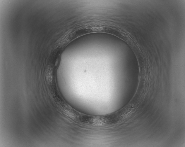 X0000054370697200508191847