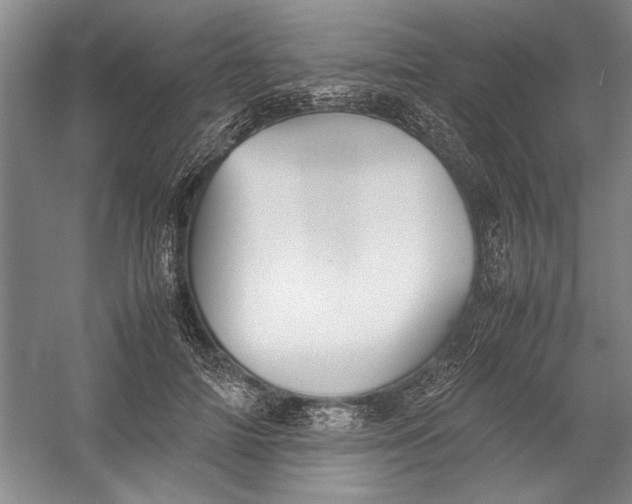 X0000054370698200508191847