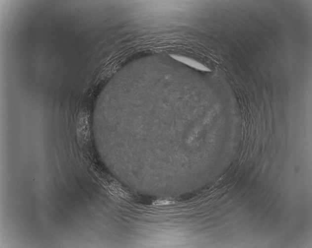 X0000054370699200508191847