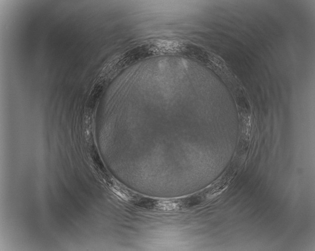 X0000054370701200508191847