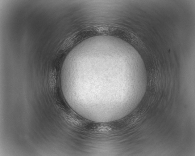 X0000054370702200508191847