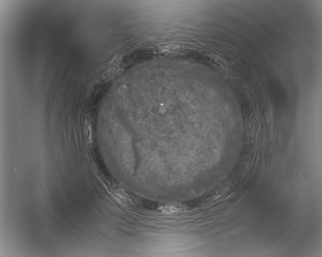 X0000054370703200508191846