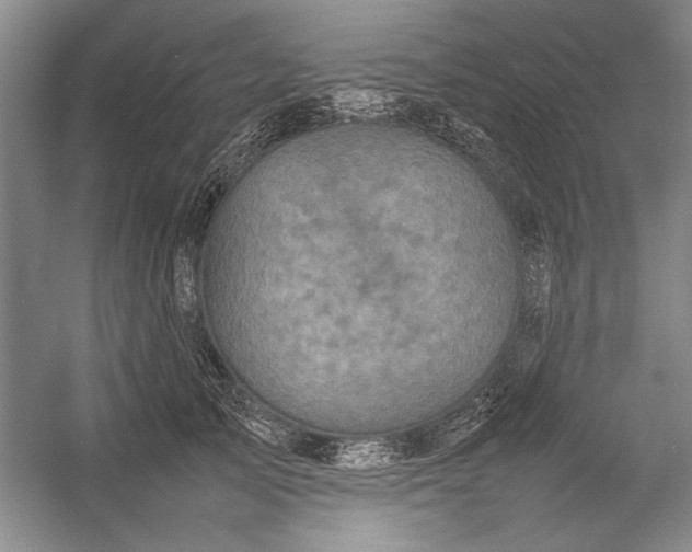 X0000054370705200508191846