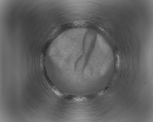 X0000054370712200508191846