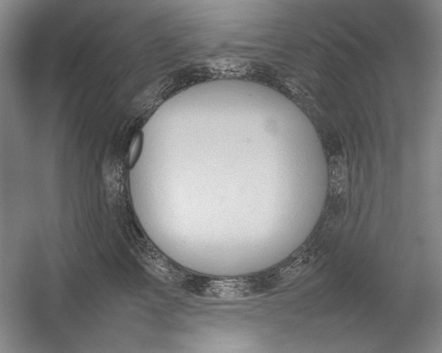 X0000054370713200508191846