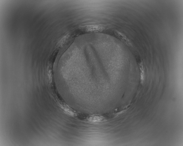 X0000054370716200508191846