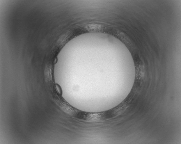 X0000054370717200508191846