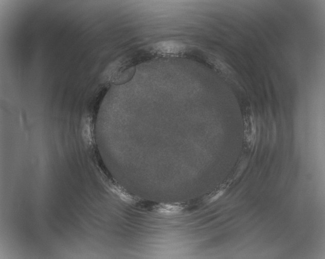 X0000054370718200508191846