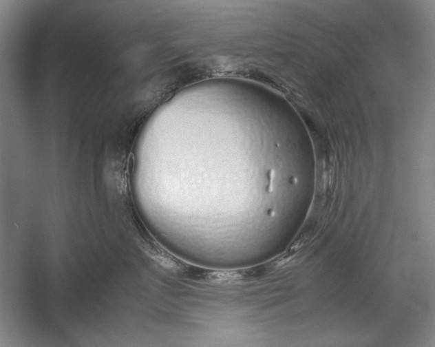 X0000054370719200508191846