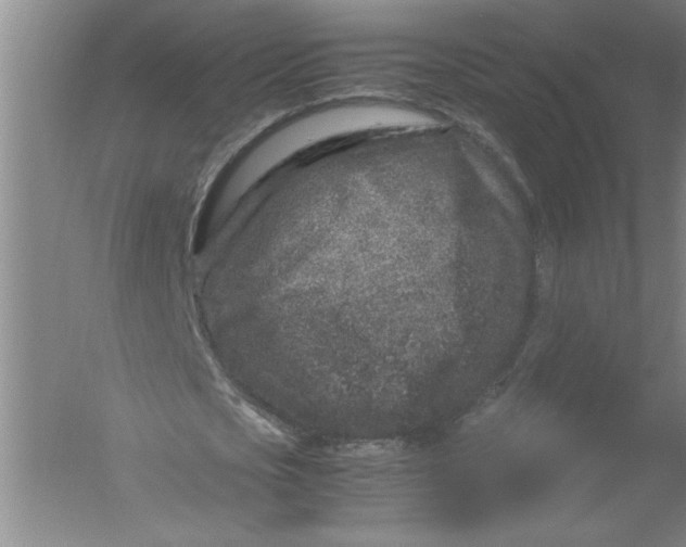 X0000054370721200508191845