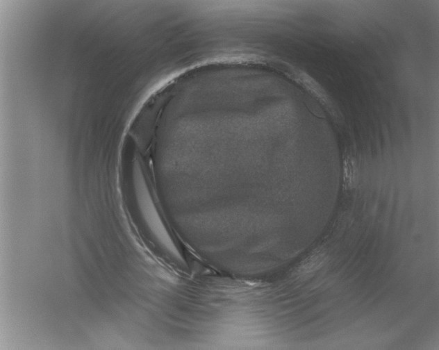 X0000054370724200508191845