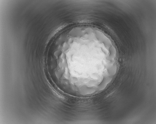 X0000054370725200508191845