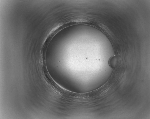 X0000054370727200508191845