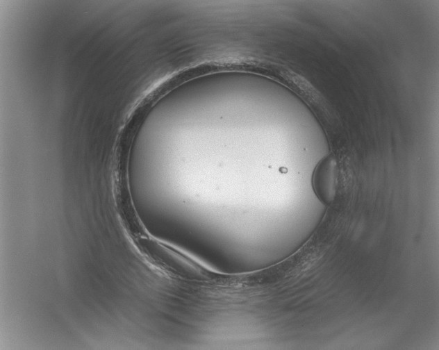 X0000054370728200508191845