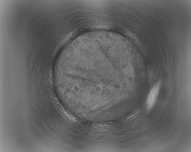 X0000054370729200508191846