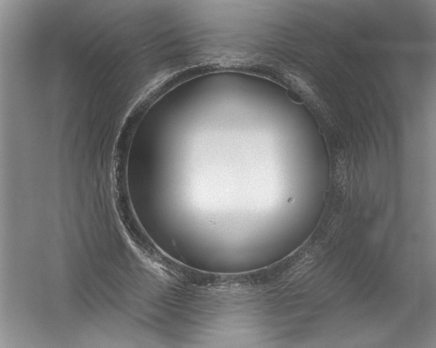 X0000054370730200508191846