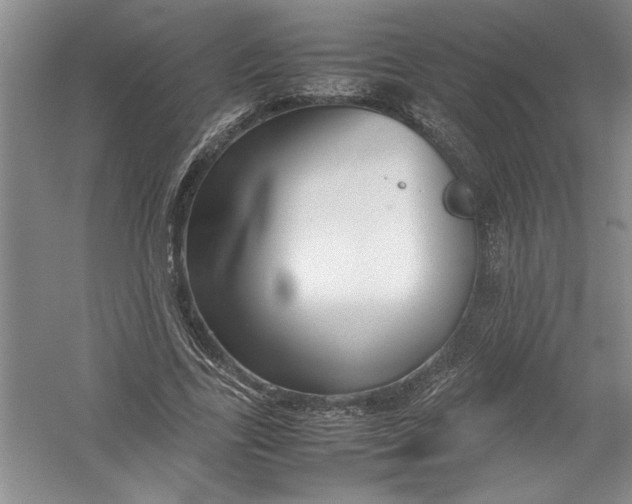 X0000054370731200508191846