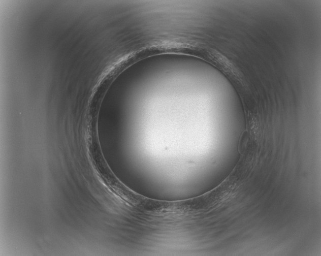 X0000054370732200508191846