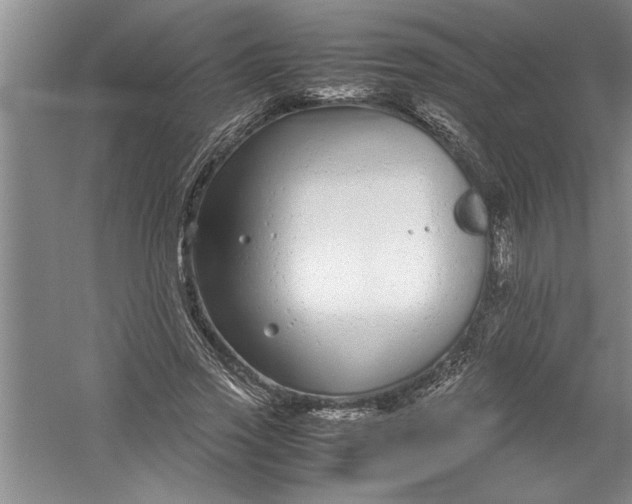 X0000054370733200508191846